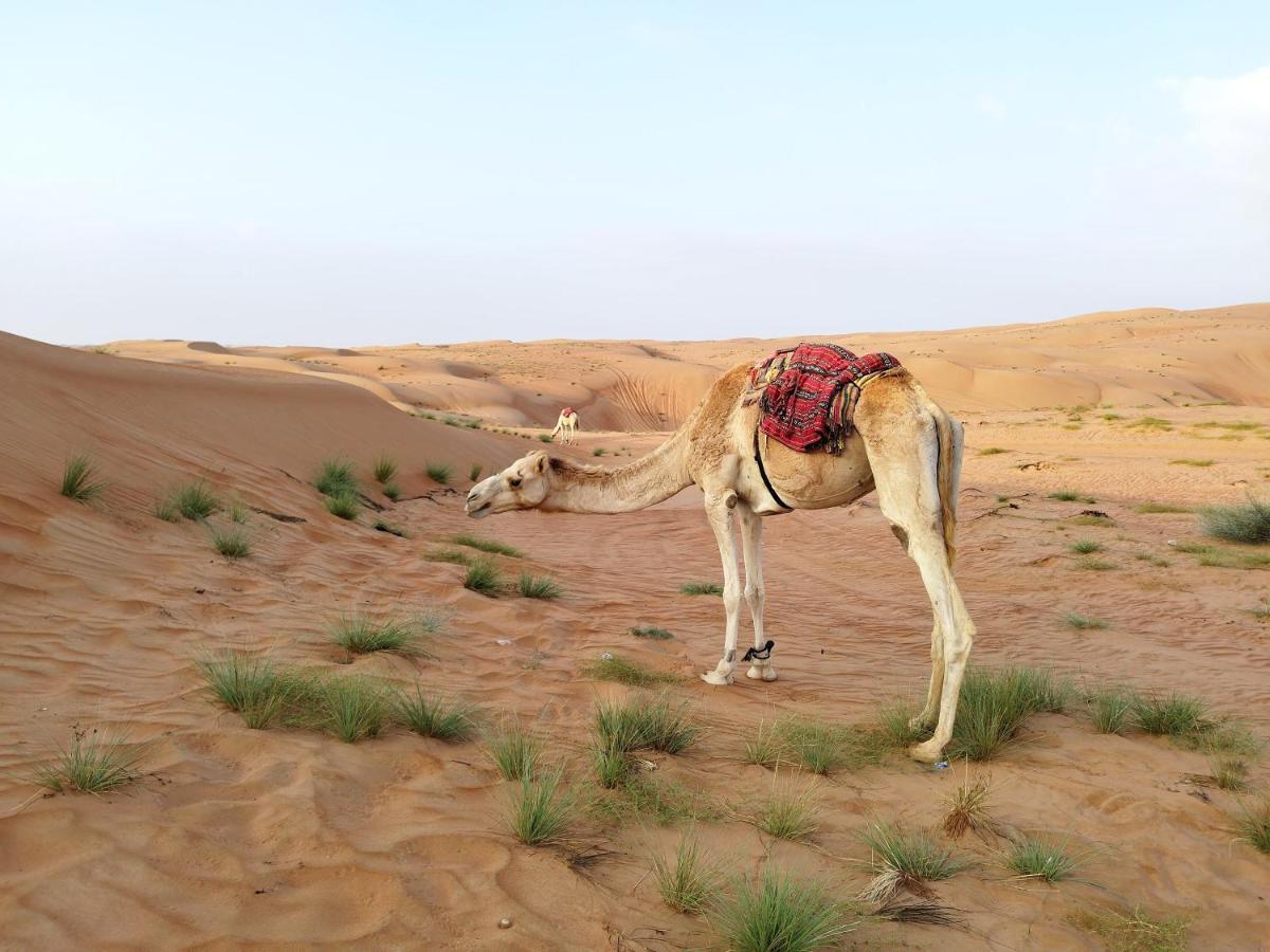 Sands Dream Tourism Camp Shahiq Luaran gambar