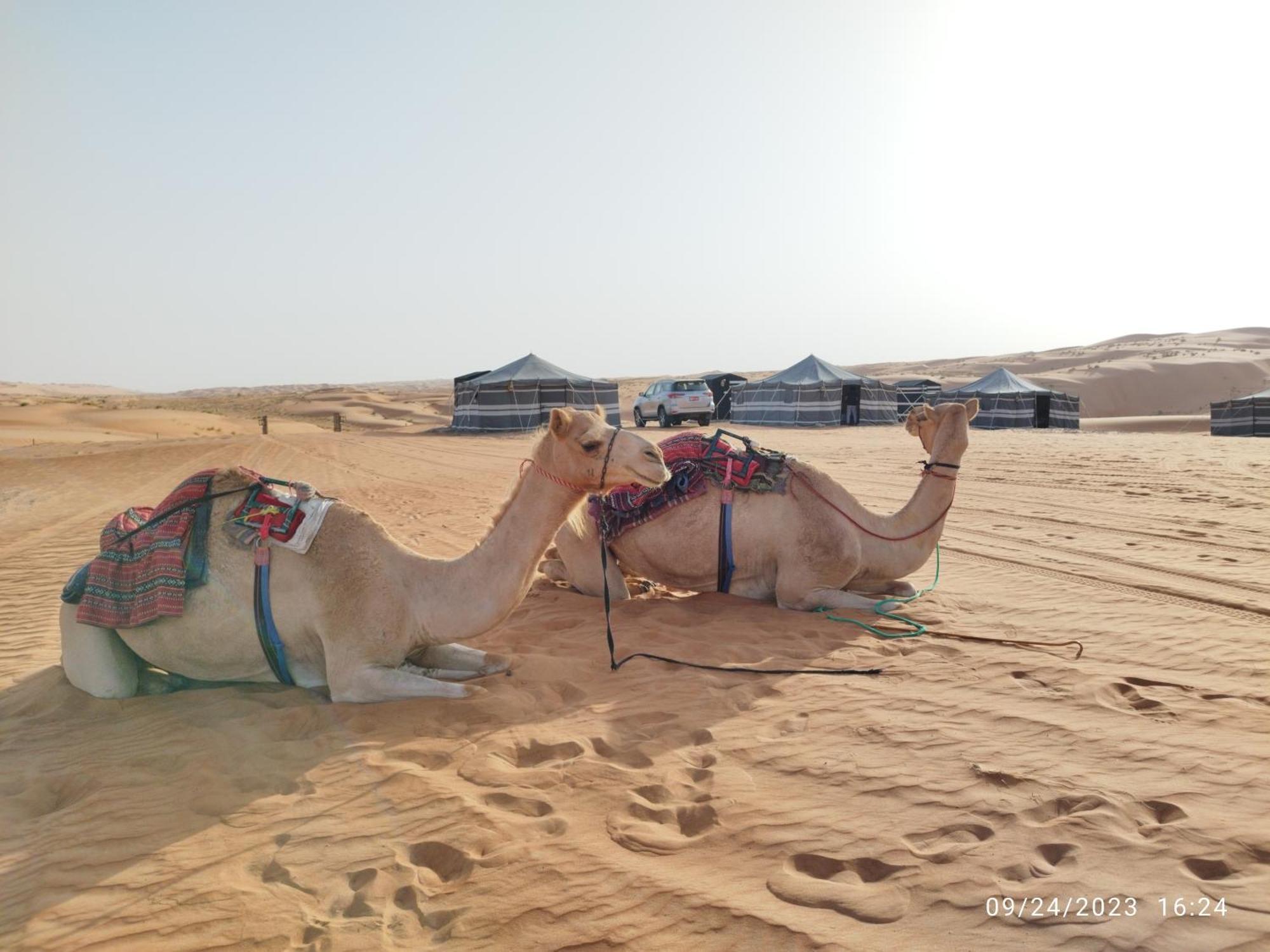 Sands Dream Tourism Camp Shahiq Luaran gambar